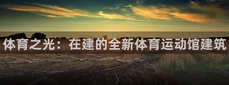 JJB竞技宝官方正版app娱乐代理怎么样:体育之光:在建的全