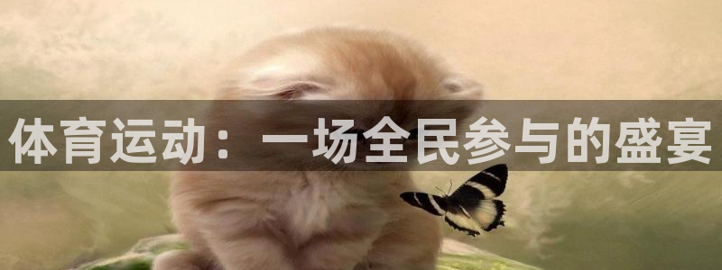 JJB竞技宝官网下载平台注册要钱吗:体育运动:一场全民参与的
